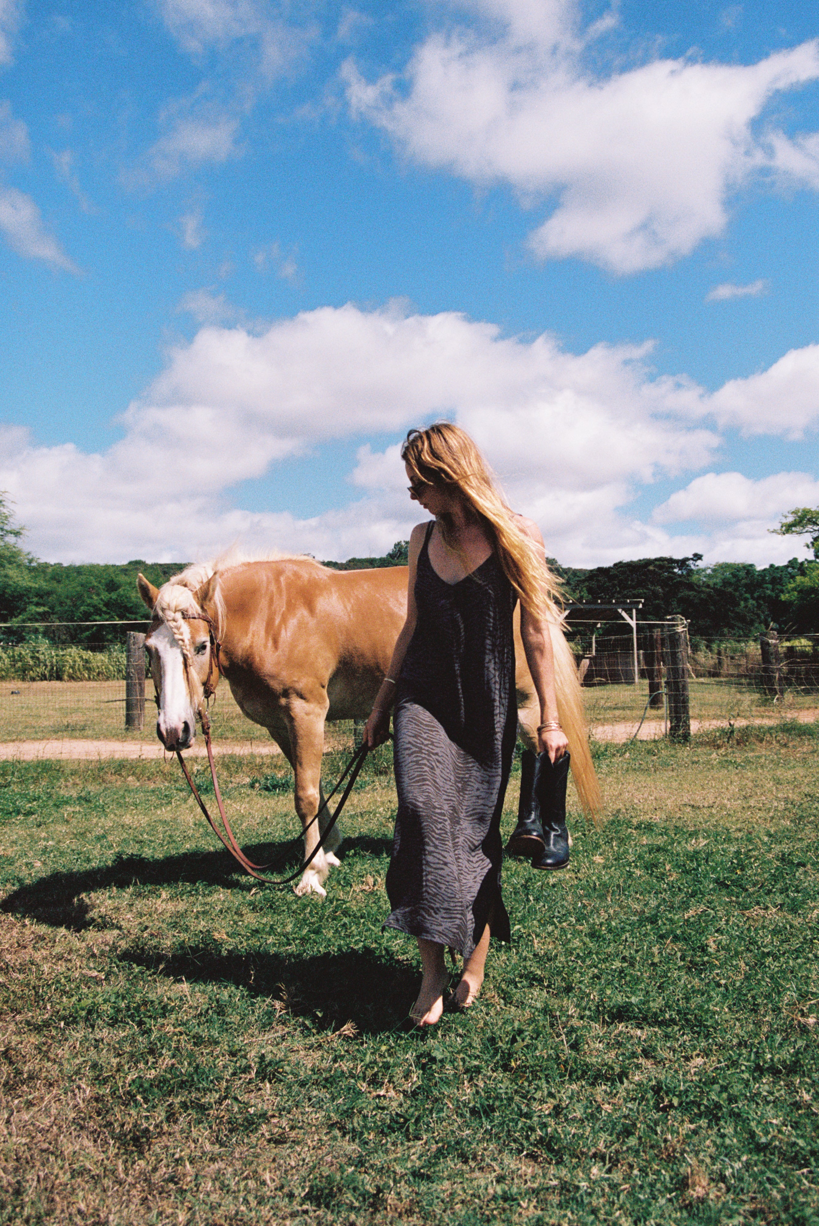 Golden Trip Muse Dress in Brown Zebra