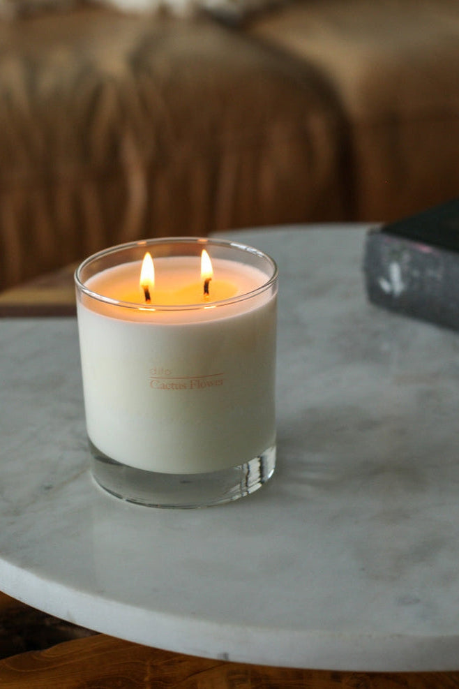 Dilo Cactus Flower Candle