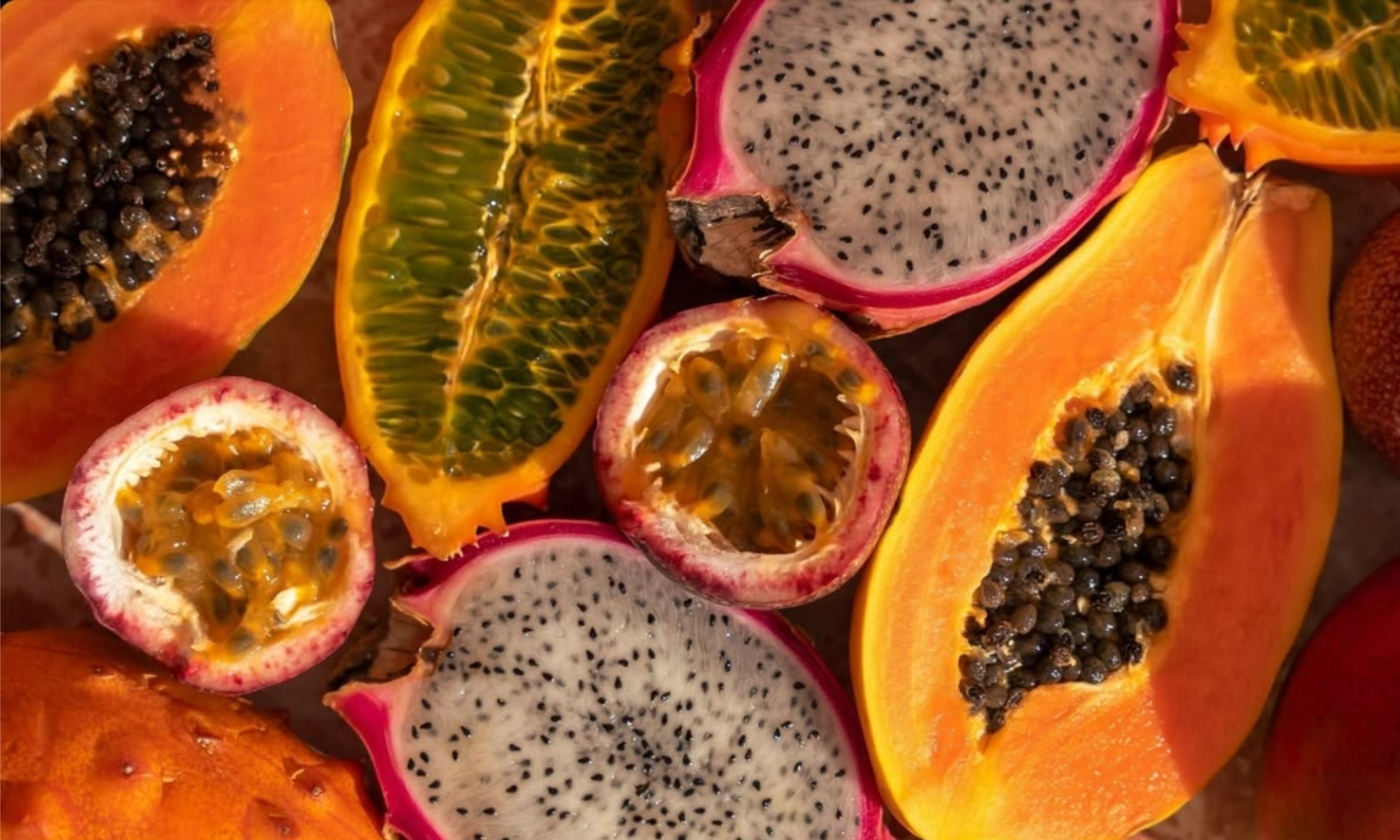 5 Ways To Stay Healthy This Summer