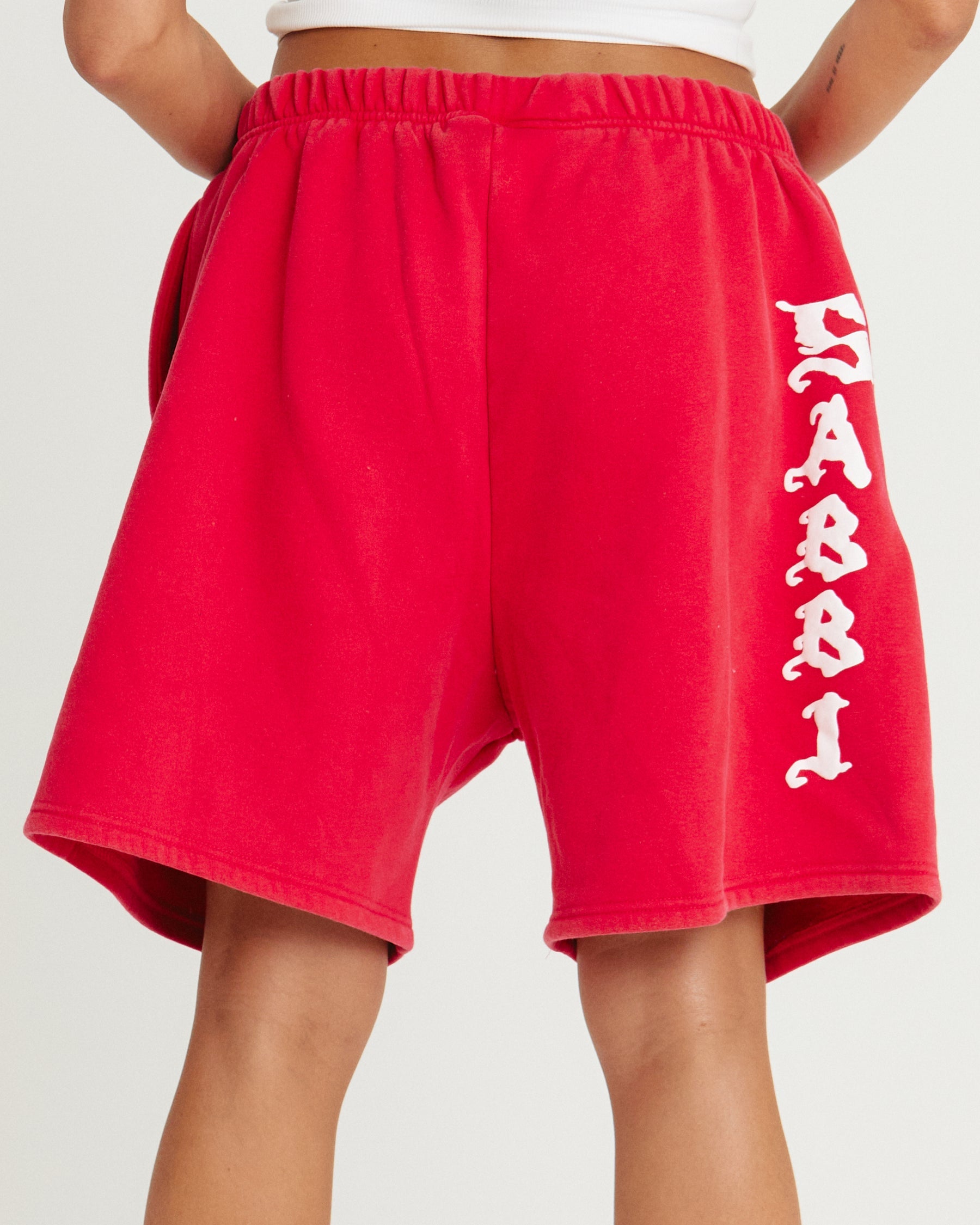 Sabbi The Happy Hibiscus Shorts