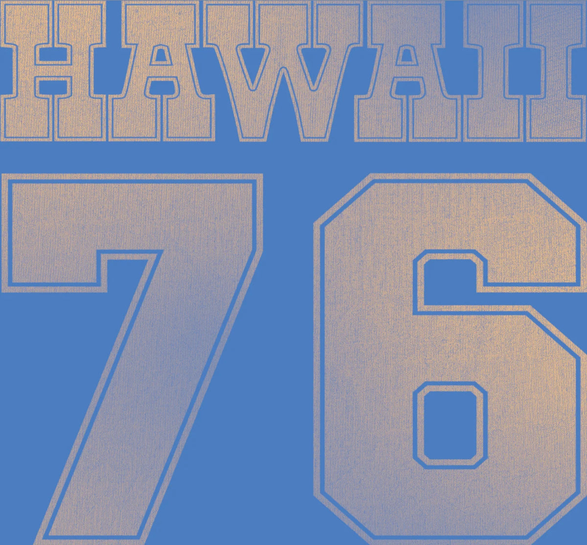 53 Jersey Tee in Hawaii 76