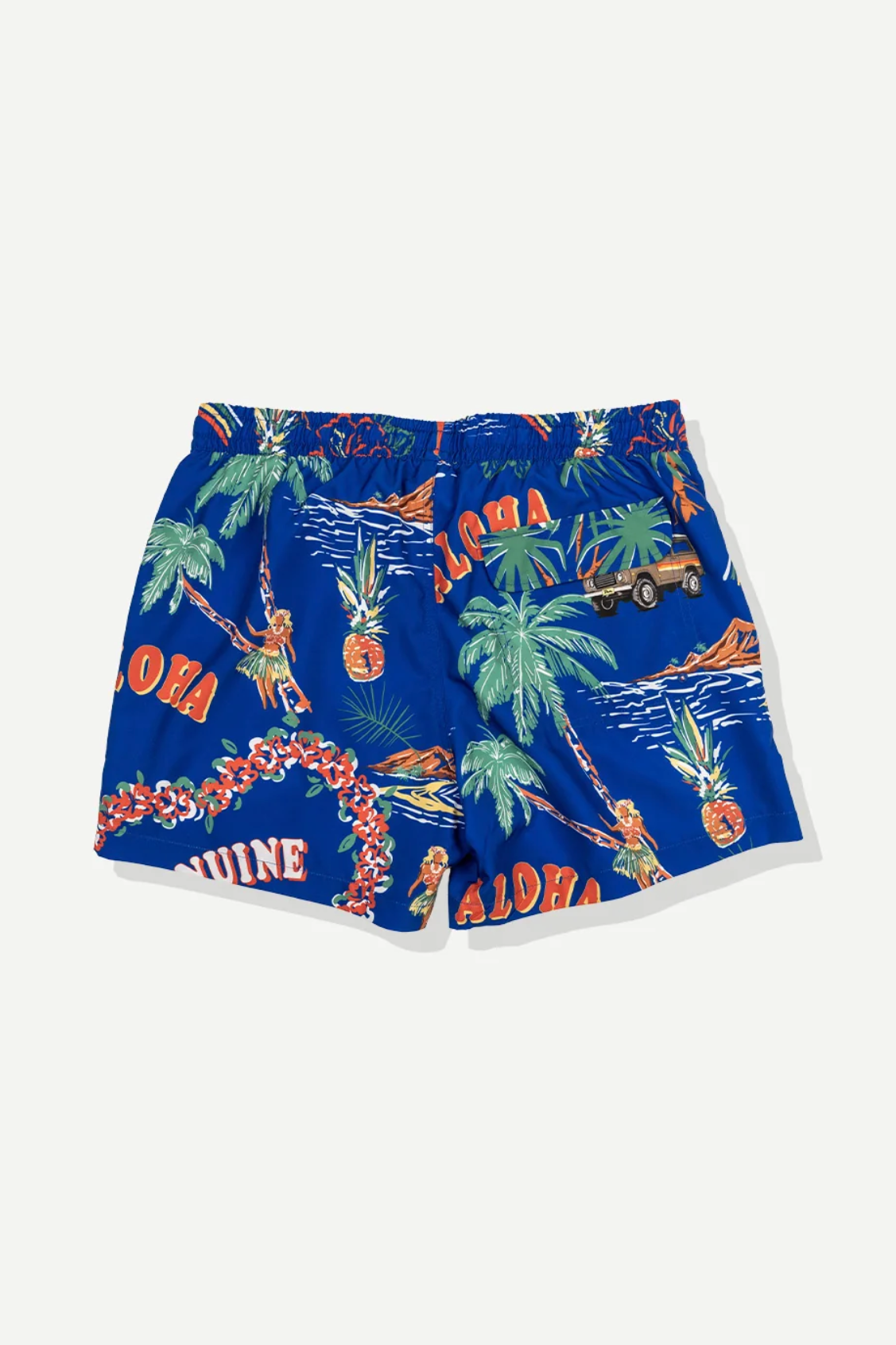 Duvin Palm Swim Short