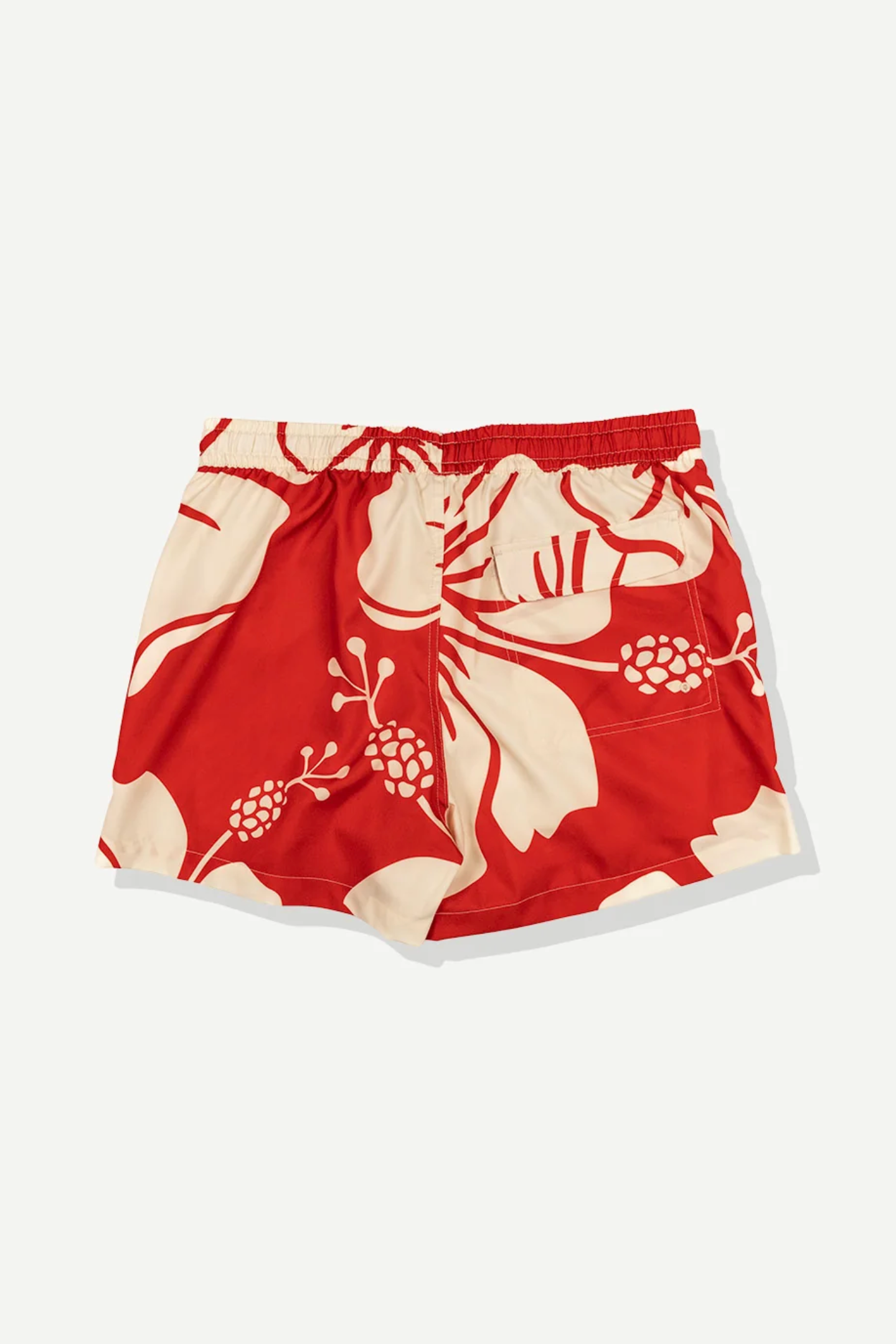 Duvin Paradise Swim Short