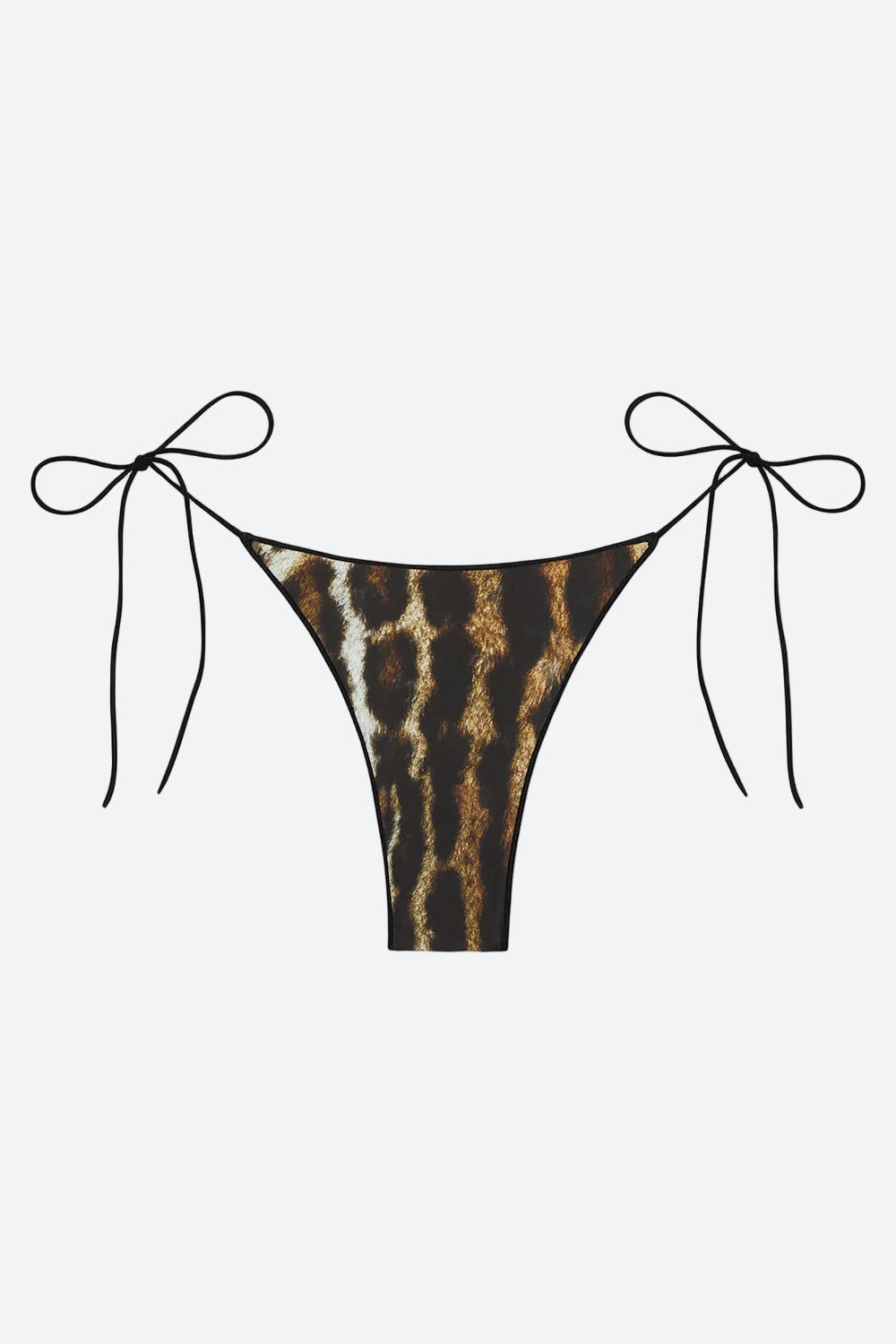 Tropic of C The C Bottom in Ocelot