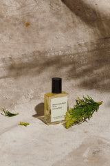 Maison Louis Marie No.02 Le Long Fond Perfume Oil 0.5 oz.